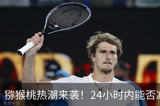 猕猴桃热潮来袭！24小时内能否减少体内炎症？